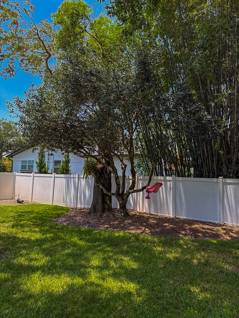 Lakefront property after cleanup