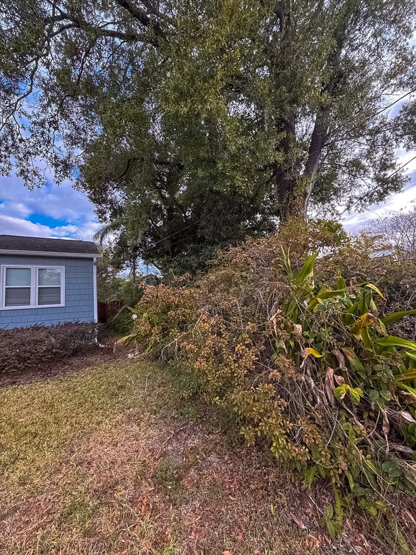 Before property cleanup