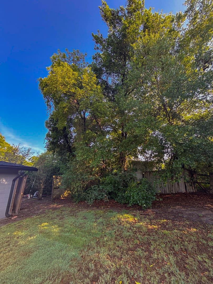 Before property cleanup