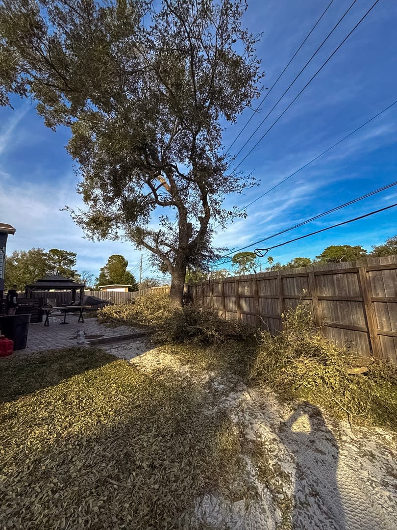 Before property cleanup