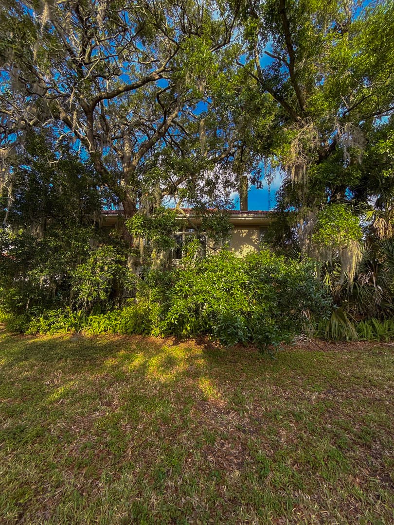 Before property cleanup