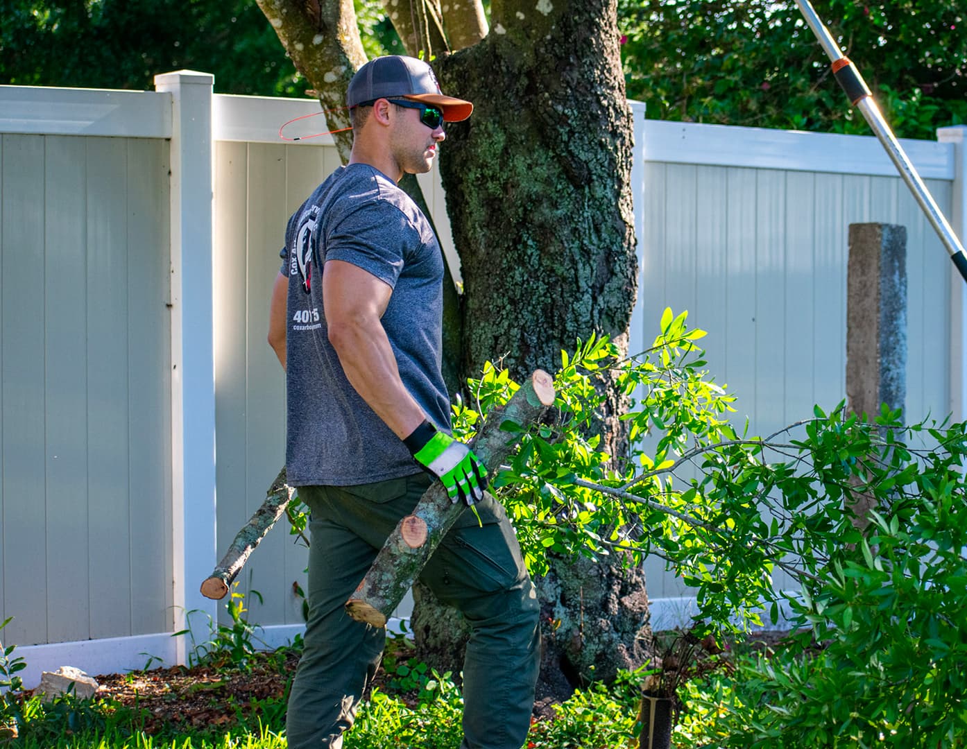 Arborists collaborating