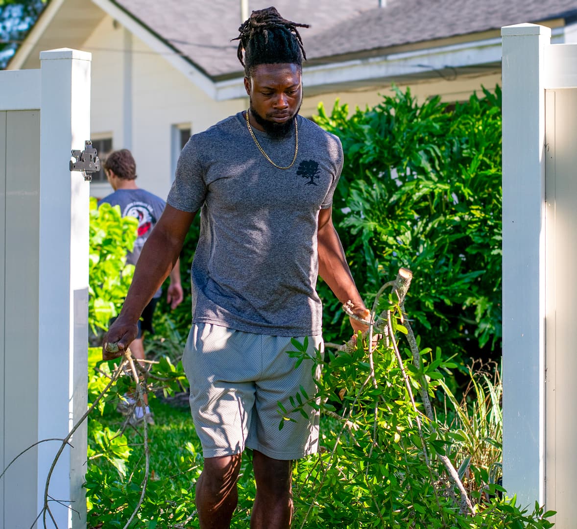 Arborist inspecting a tree
