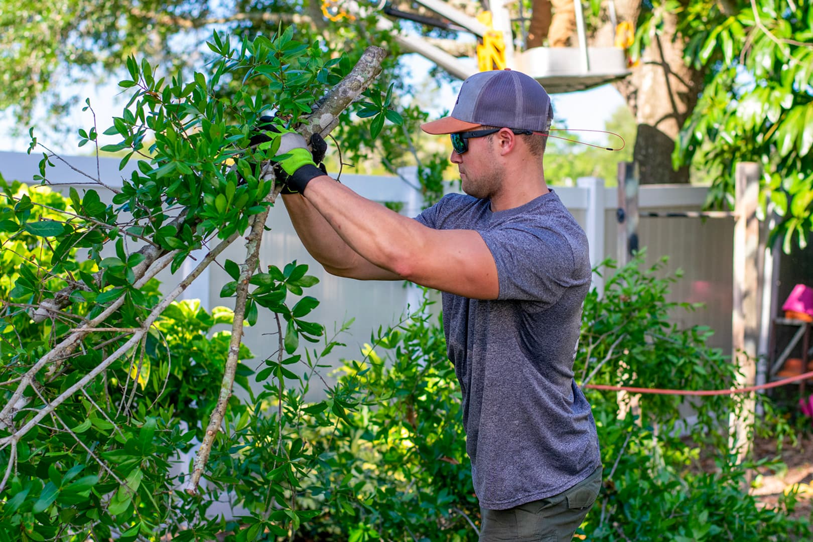 Confident Tree Service Representative