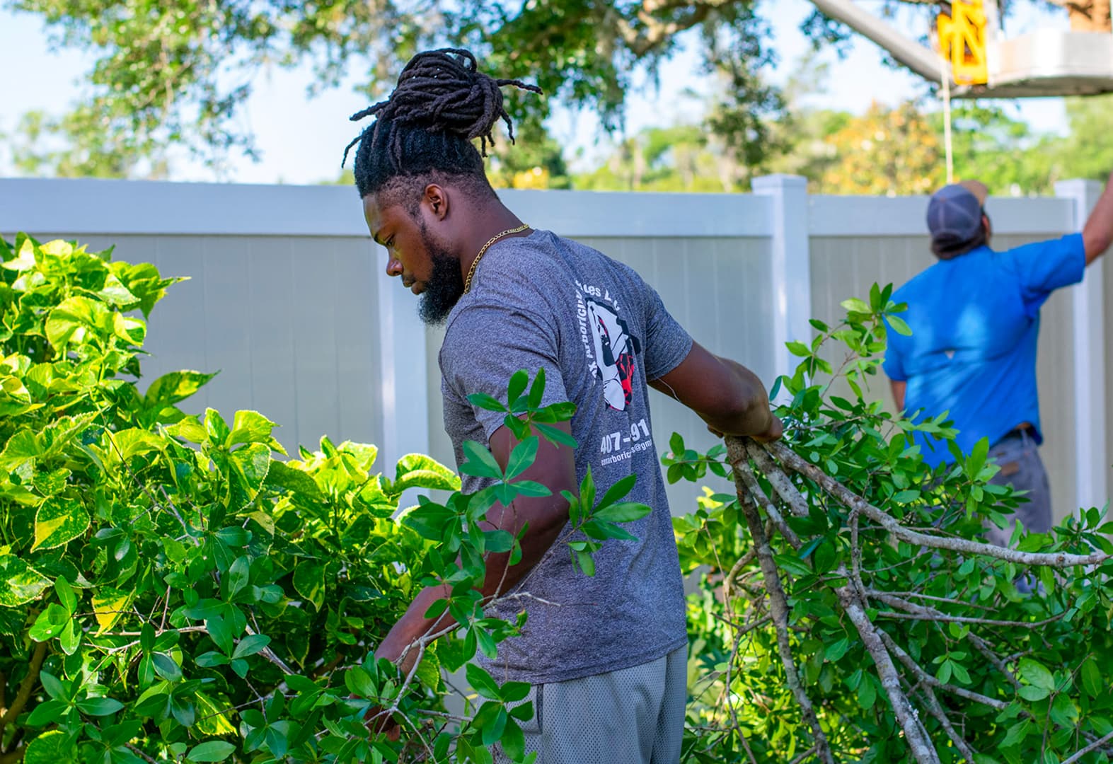 Florida Tree Professional