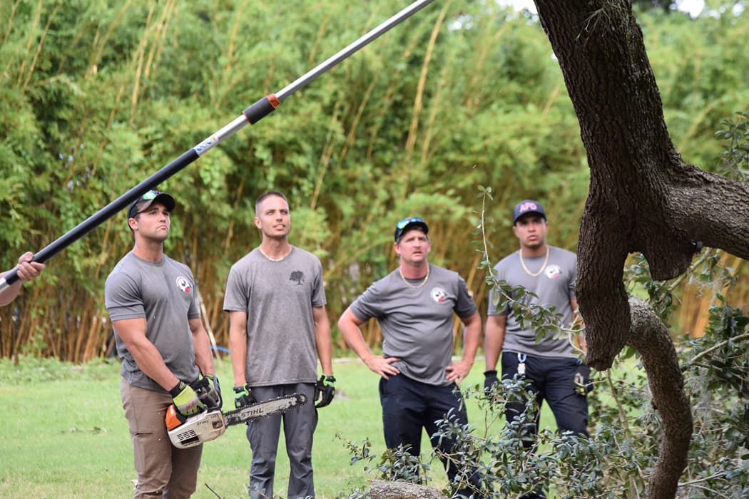 Cox Arboriculture Team