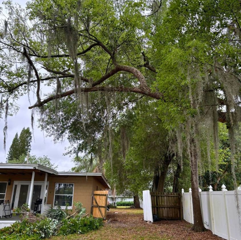 Team working on lakefront cleanup