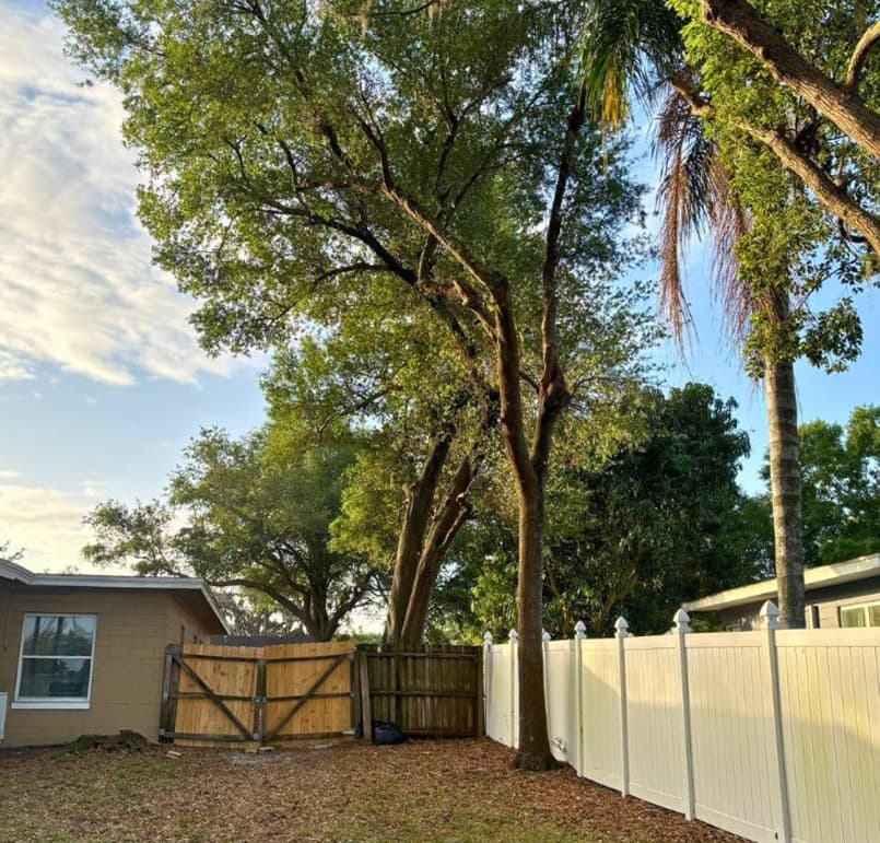 Clearing lakefront vegetation