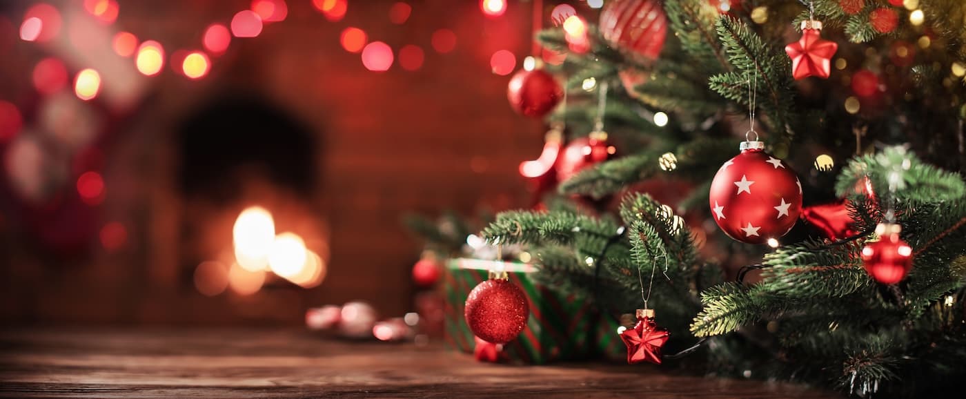 How to Care for Christmas Trees Guide
