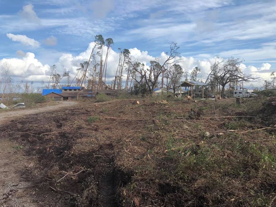 Professional Commercial Tree Services in Orlando, Florida