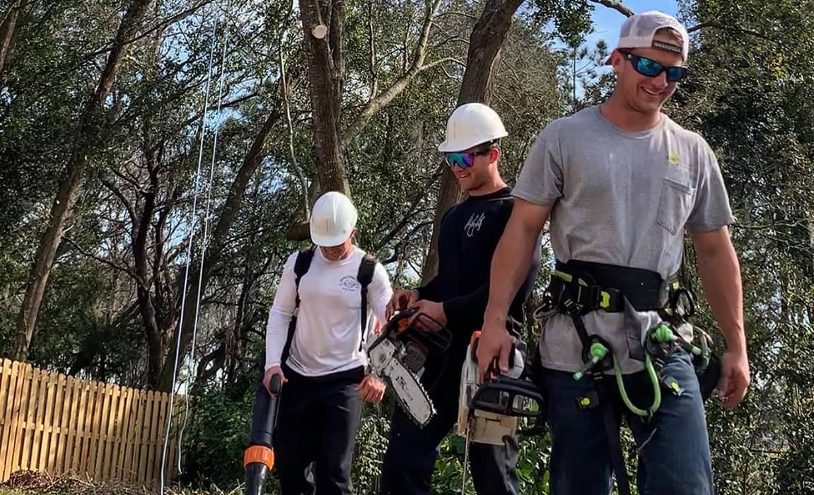 Commercial Stump Removal Service