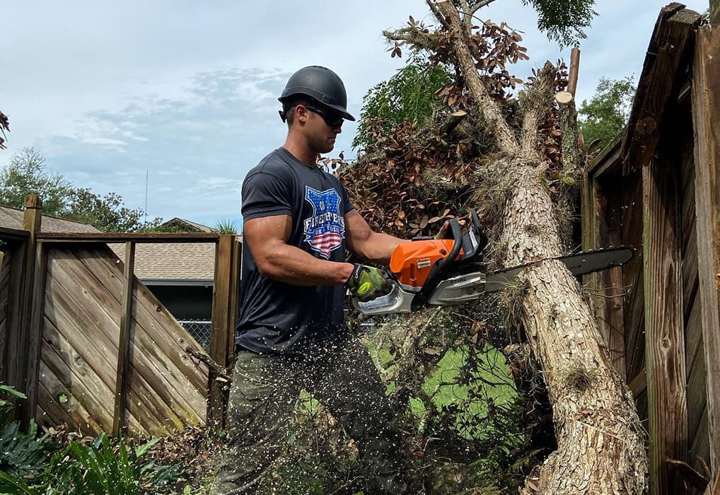 Dead Tree Assessment Orlando