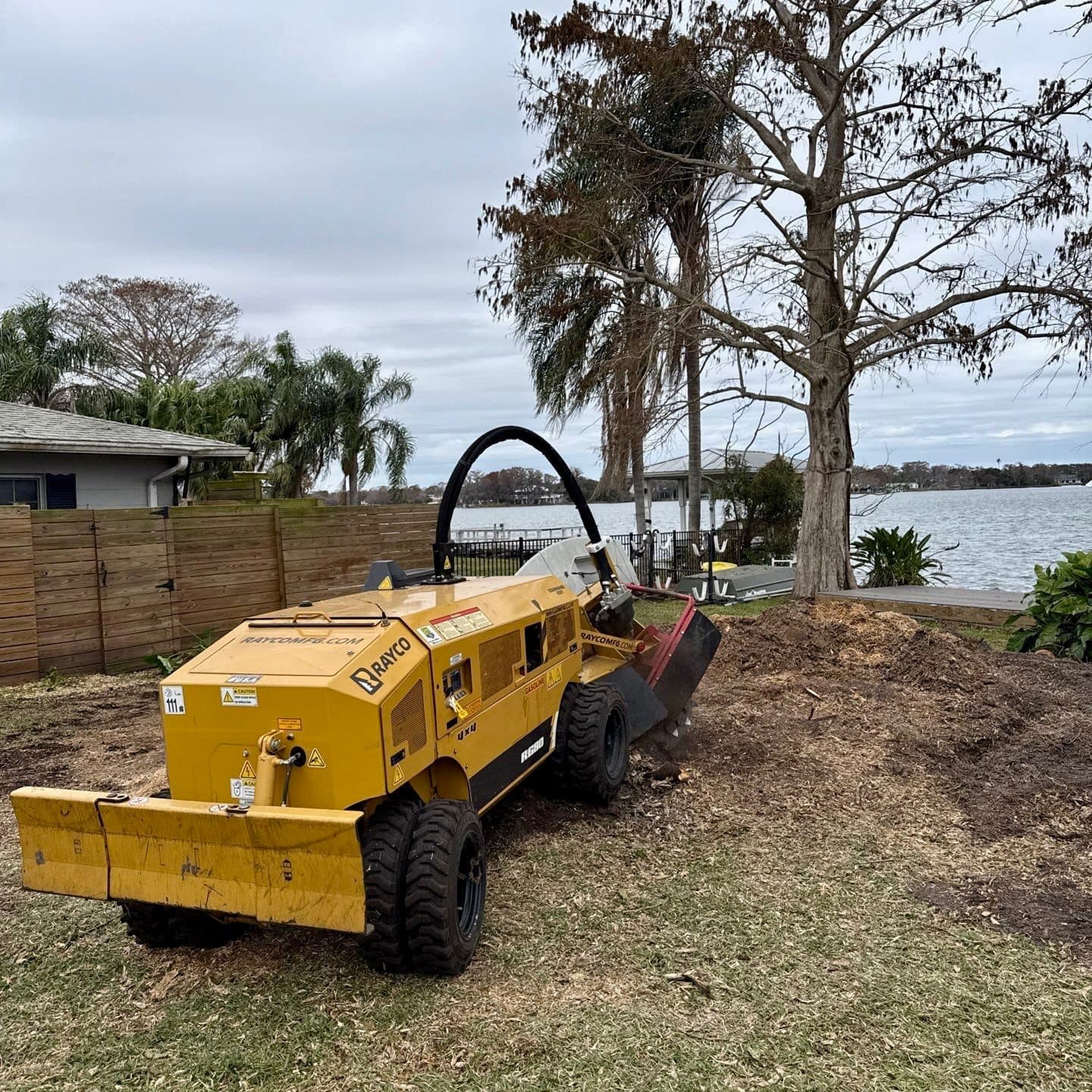 After Tree Removal - Clean Safe Yard