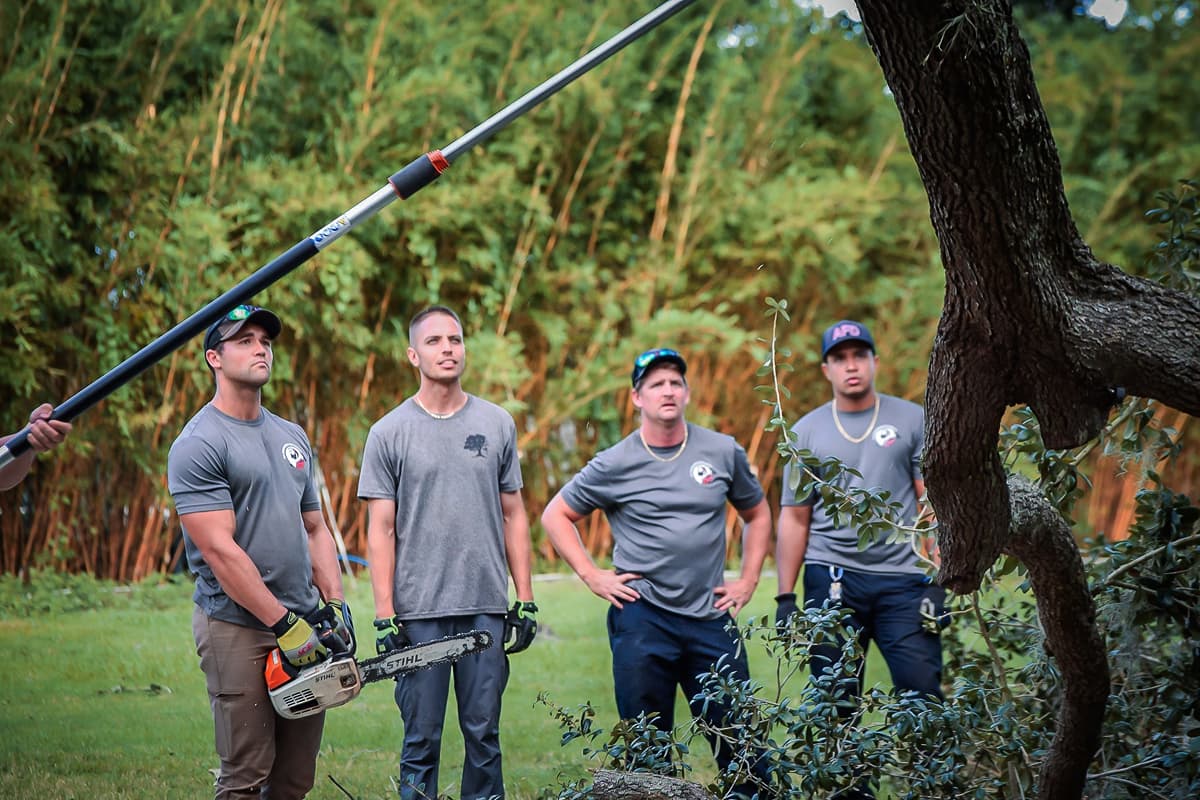 Cox Arboriculture Dead Tree Removal Team Orlando