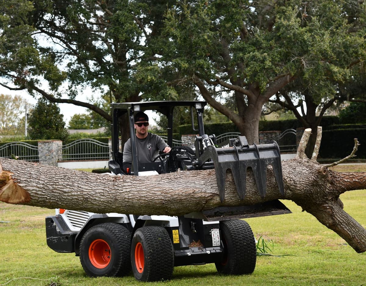Cox Arboriculture Tree Trimming Team in Orlando