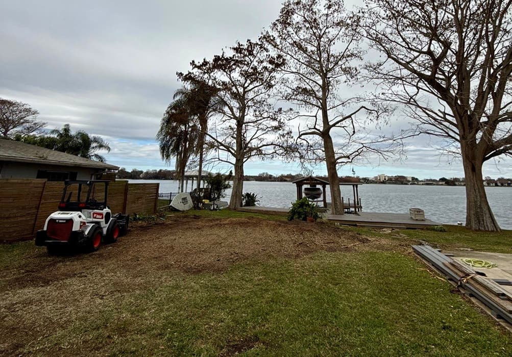 Professional Residential Tree Services in Orlando, Florida