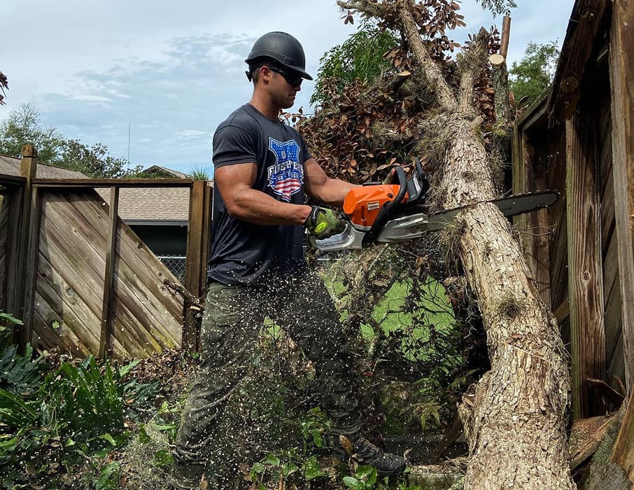 Residential Stump Grinding Service