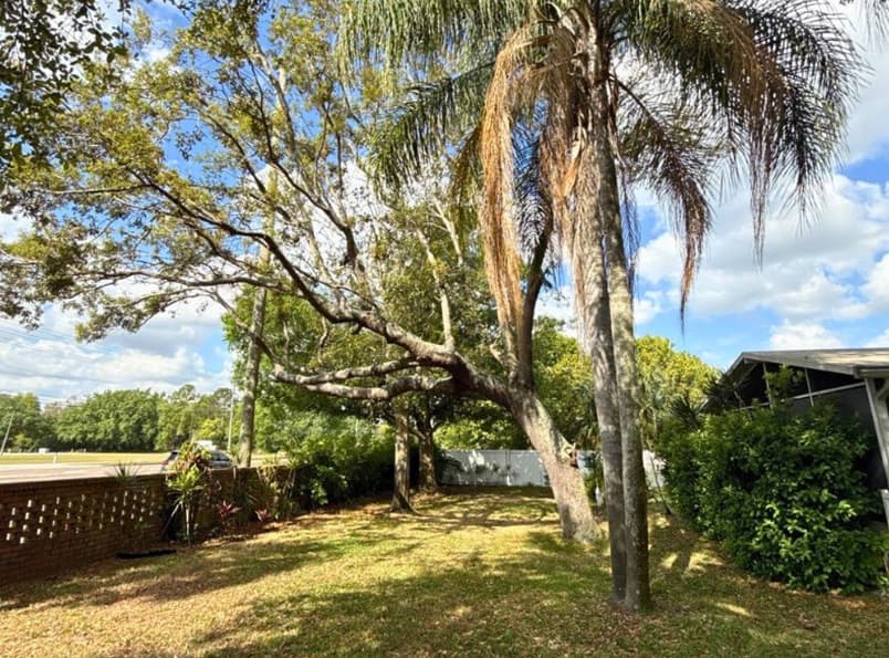 Property before cleanup