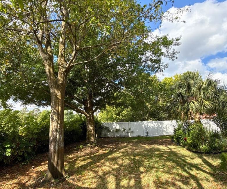 Team working on property cleanup