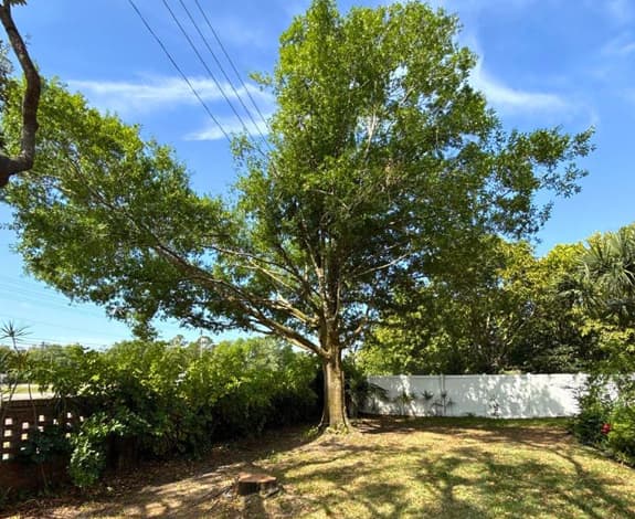 Roping items over the roof
