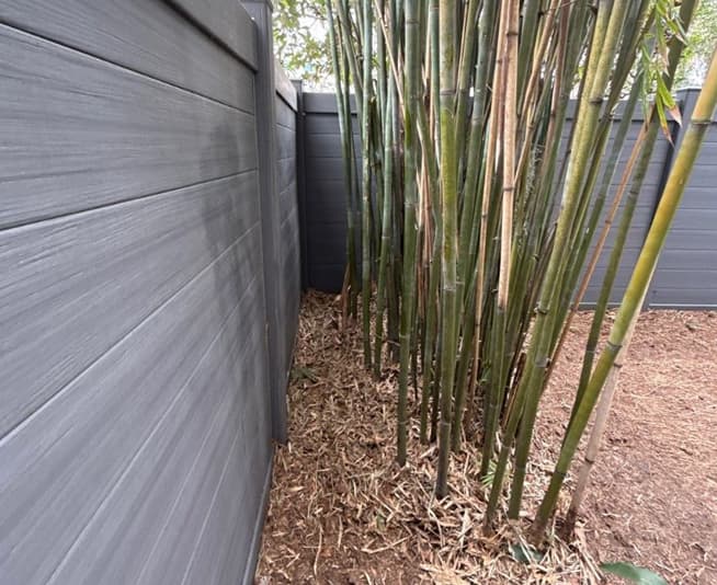 Team cleaning up bamboo debris